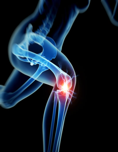 Knee Rehabilitation ACL Protocol